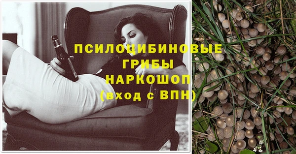 спайс Елизово