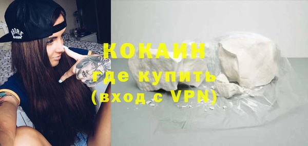 твердый Ельня