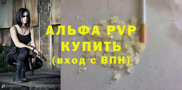 твердый Ельня
