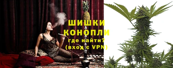 твердый Ельня