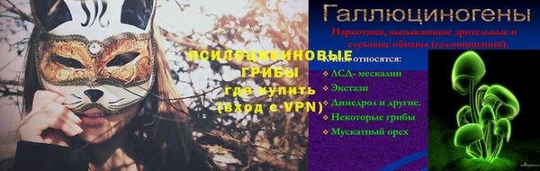 твердый Ельня
